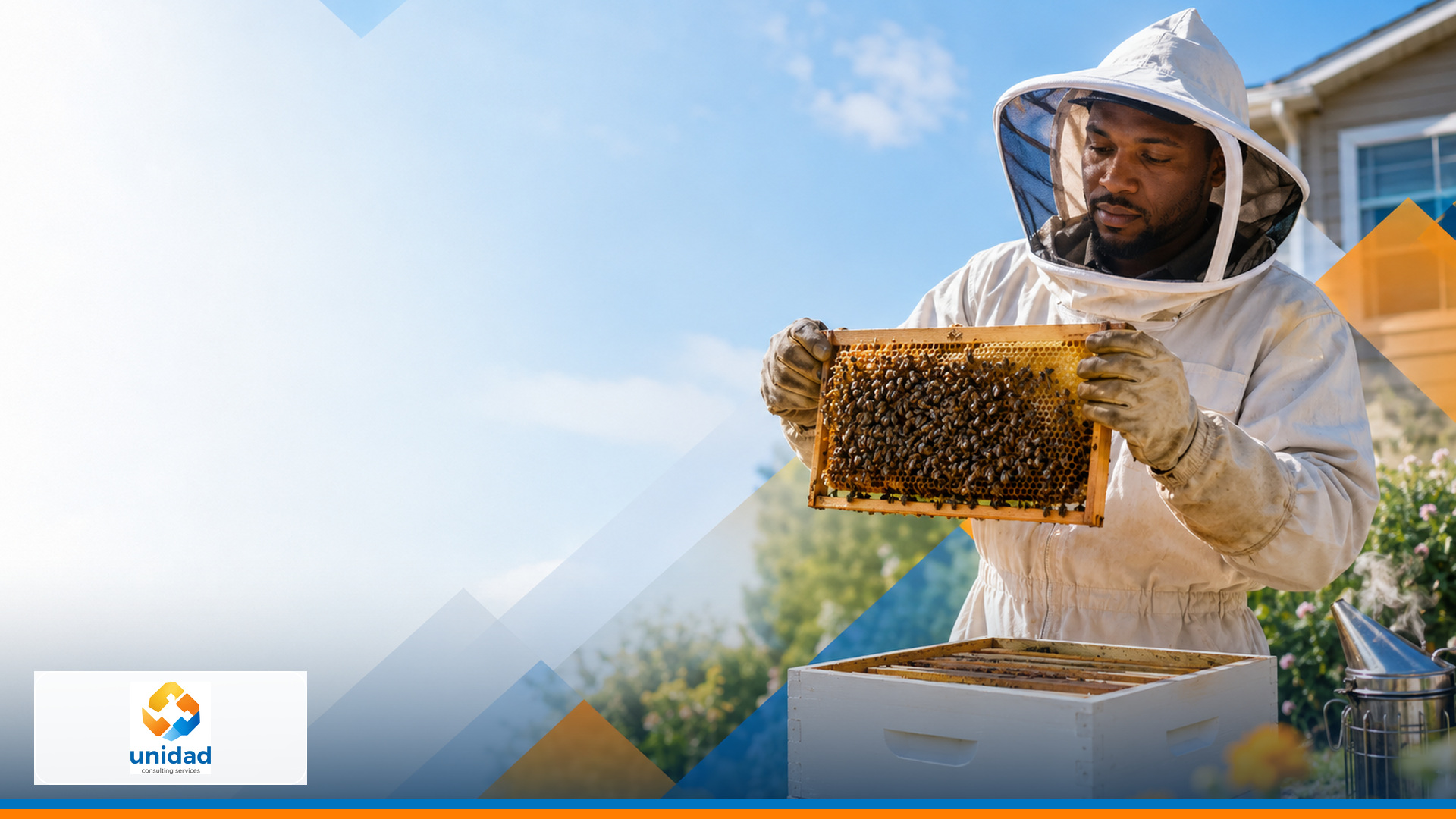 Bee-removal specialist inspecting a colony